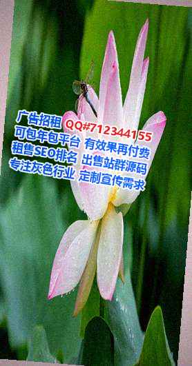 越南卵子区块链公司